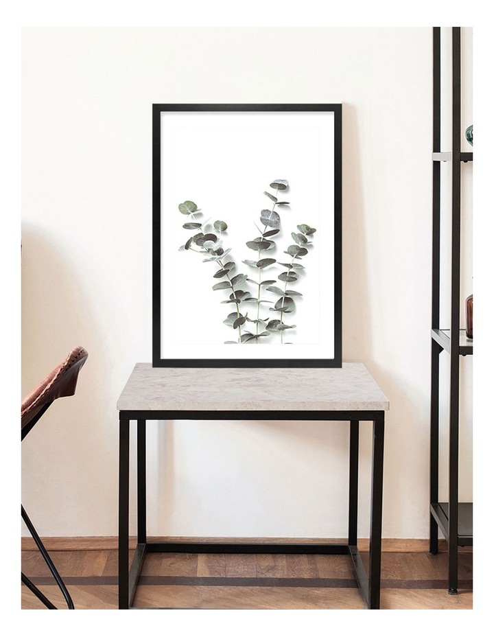 Australian Made Eucalyptus Foliage Framed Print in Black