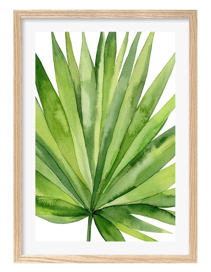Australian Made Fan Palm Leaf Framed Print in Natural