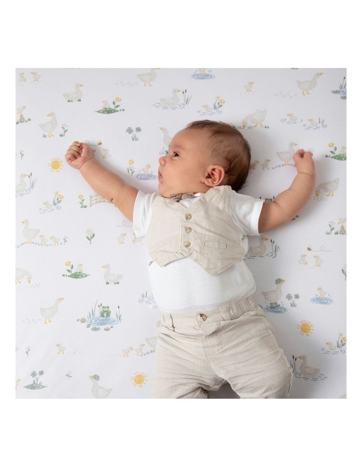 Organic Jersey Cot Fitted Sheets 2 Pack in White/Sage