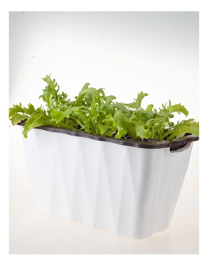 Rectangular Flower Pot Small 35cm in White