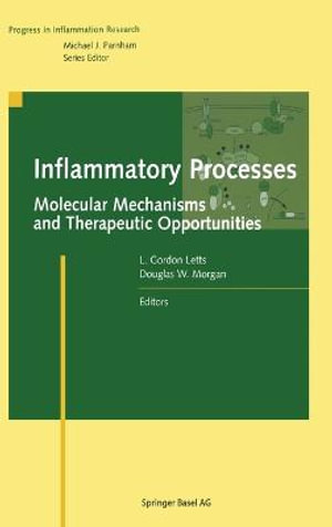 Inflammatory Processes : Molecular Mechanisms and Therapeutic Opportunities